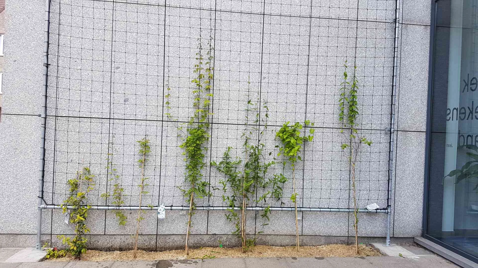 1920_PJ195_Bibliotheek_Velinx_Tongeren_HdpeBuis_10